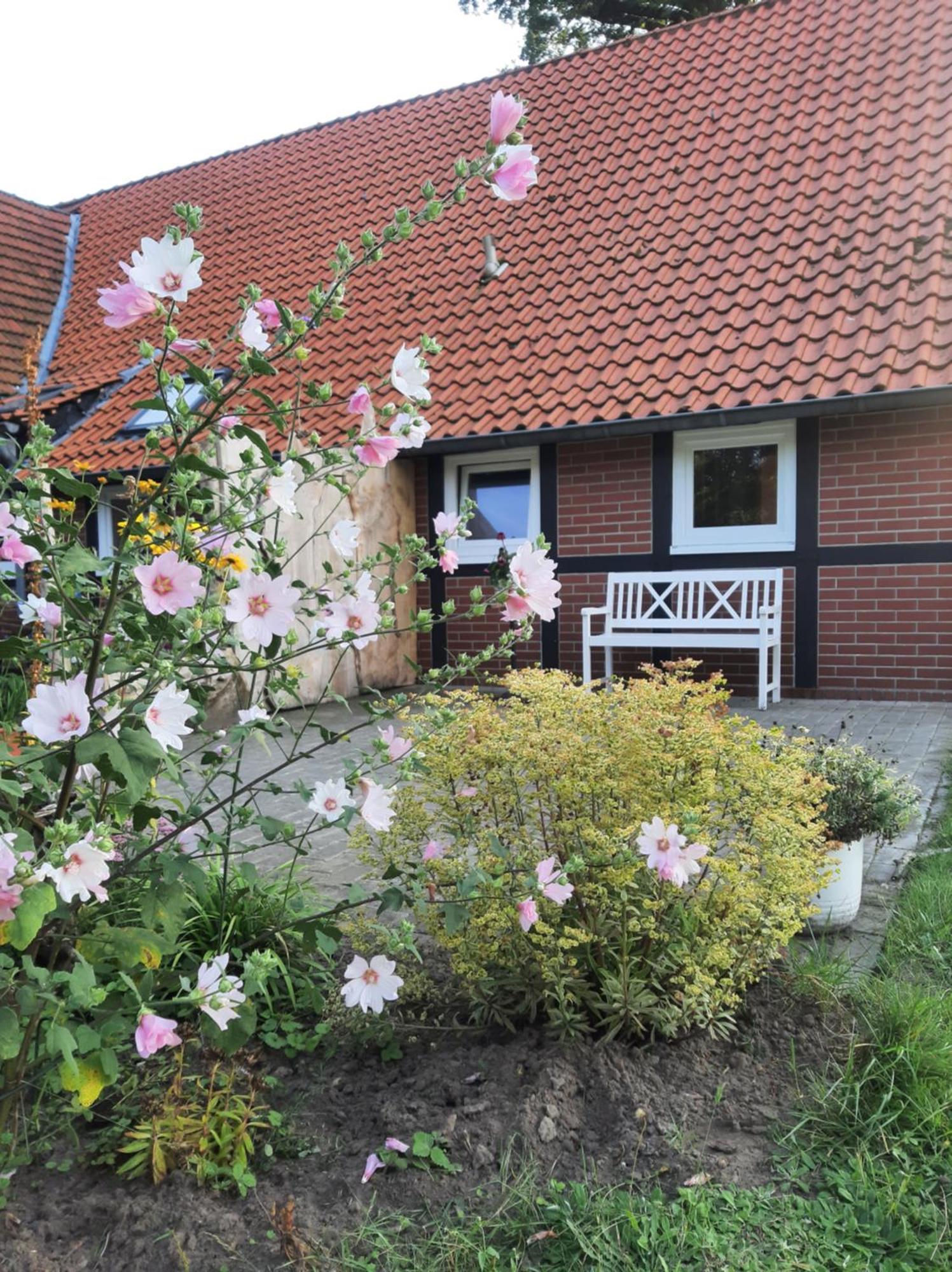 Auf Dem Land * Ladbergen